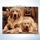 Верность и преданность