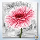 Нежное соло