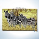 Полосатая семейка